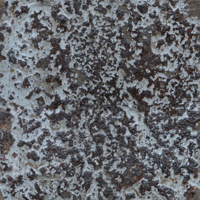 Roccia nera ricoperta di licheni