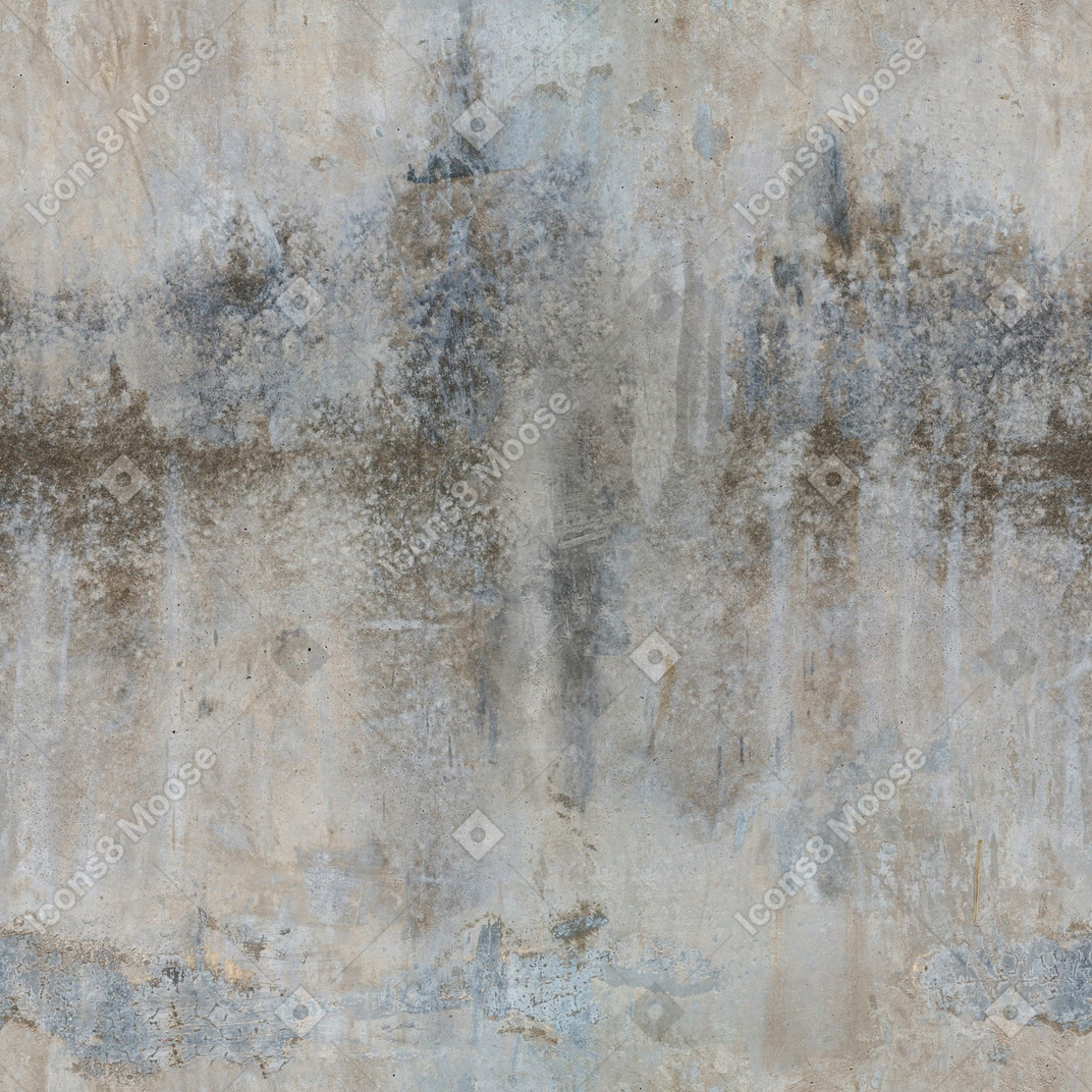 곰팡이 얼룩이있는 오래된 회색 석고 벽