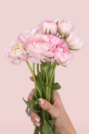 A female hand holding a bunch of pink flowers