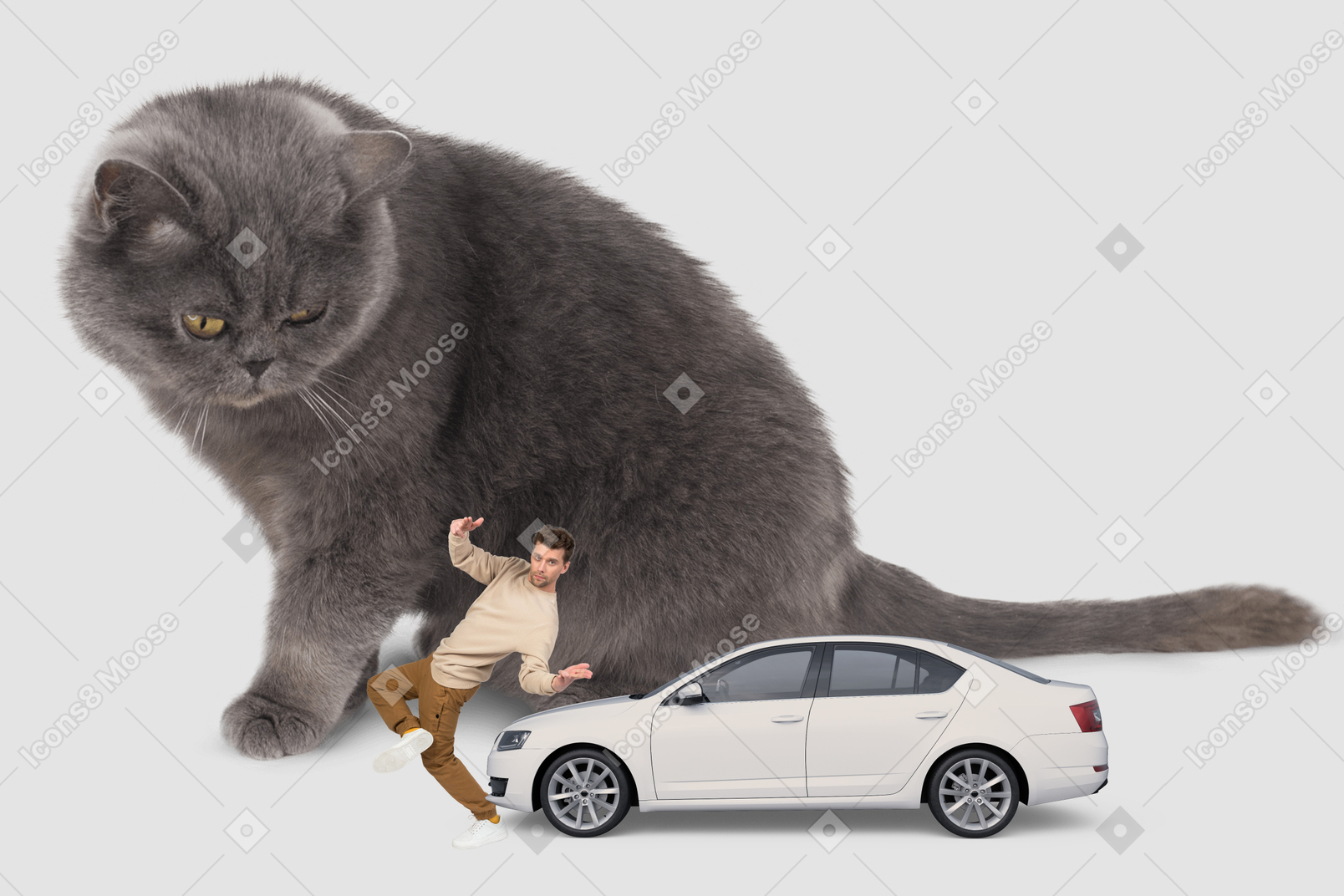 Huge grey cat sitting next to a car and dancing man
