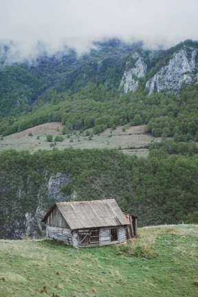 Naturaleza