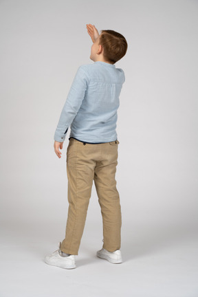 Back view of boy in blue shirt and khaki pants looking up