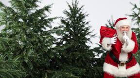Santa claus standing in a forest