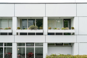 Edificio per uffici bianco con piante sul balcone