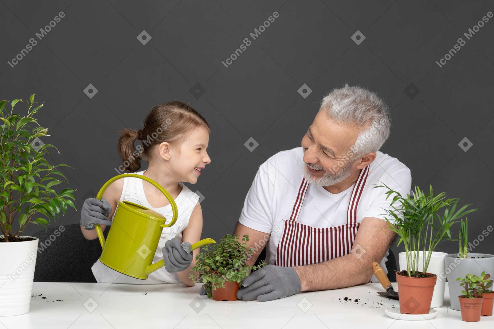 A little girl watering a plant