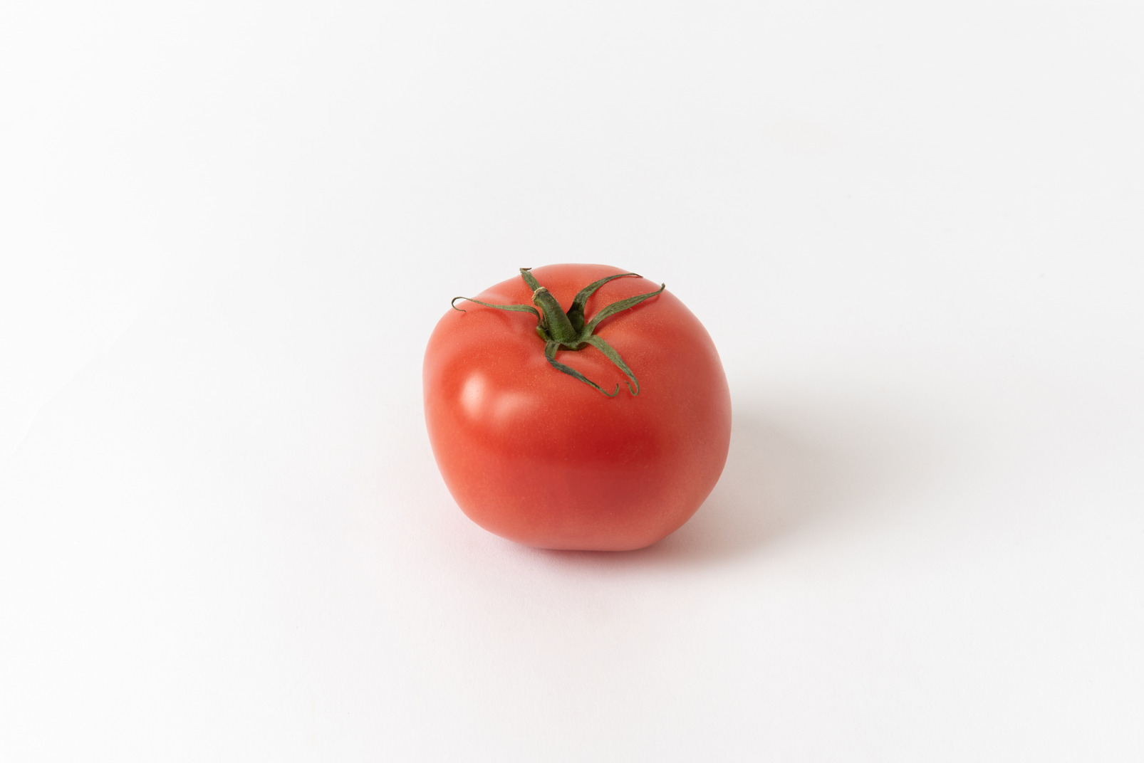 Single tomato on a white background