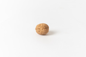 Single walnut in a shell