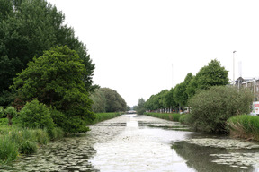 A view of a river with trees on both sides