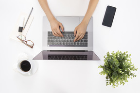 Female typing hands