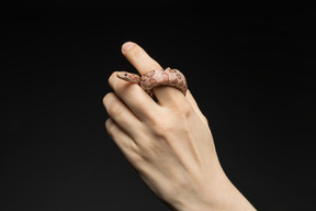 Pequena serpente de milho, curvando-se em torno do dedo humano