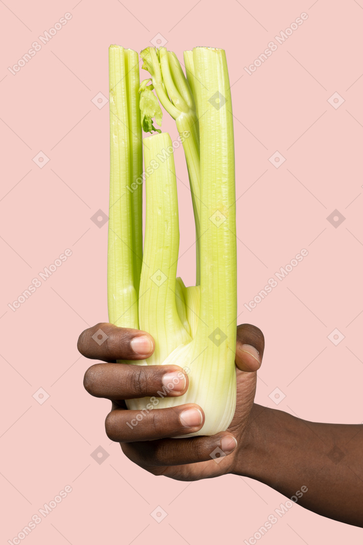 A hand holding a stalk of celery on a pink background