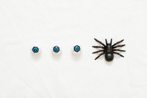 Candy eyes and a toy spider
