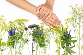 Manos femeninas tendidas junto a las flores del campo