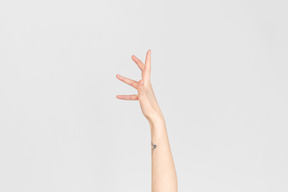 Female hand pointing up