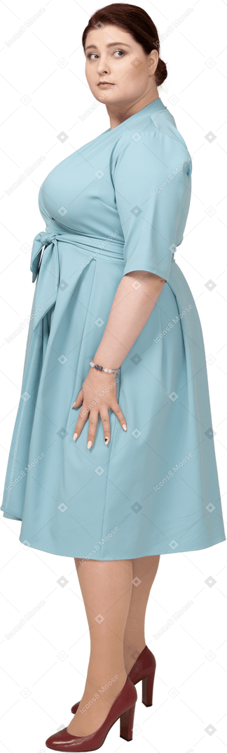プロフィールに立っている青いドレスの女性