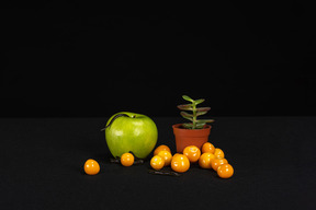 Uma composição de maçã, tomate cereja e vaso de flores