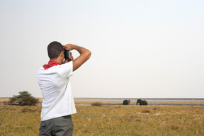 A man is taking a picture of elephants