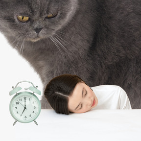 A giant cat watching over a sleeping woman