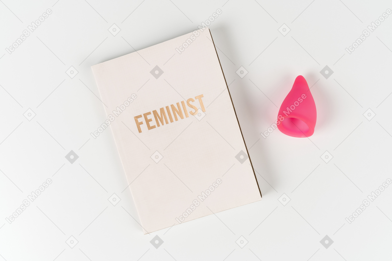 Livre féministe et coupe menstruelle sur fond blanc
