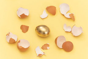 Golden egg among eggshells