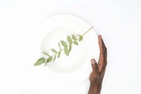 Black male hand holding a white plate with green twig on it