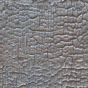 Texture du bois brûlé