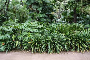 Lugar lindo para dar um passeio