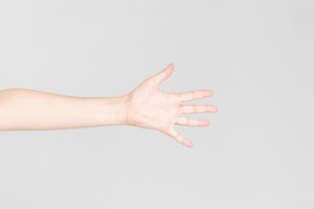 Side look of female open hand palm