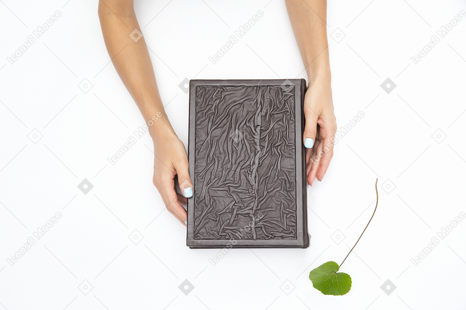 Libro nero e un ramoscello verde