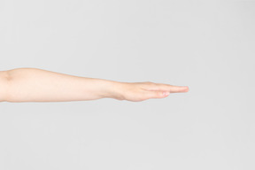 확장 된 여성 손의 측면 모습