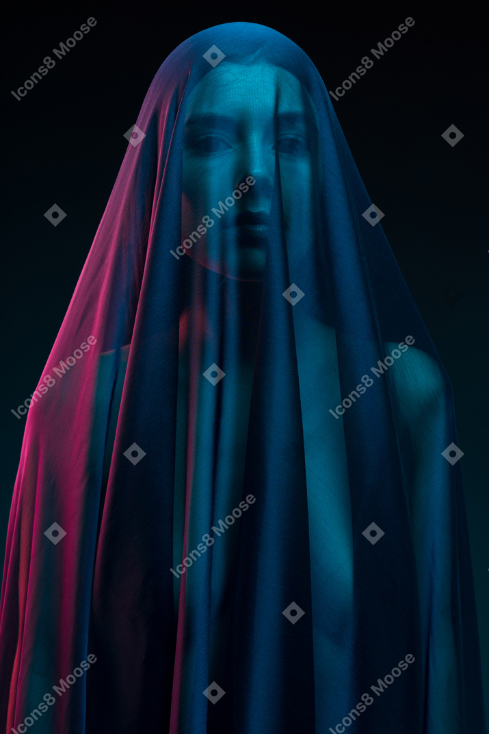 Front view of sensual naked young woman in dark veil looking at camera