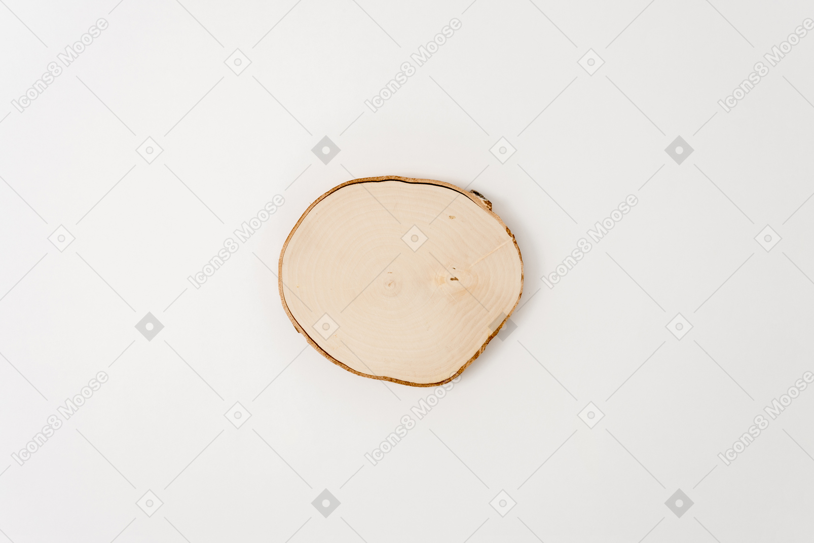 Sezione trasversale del tronco di albero su fondo bianco