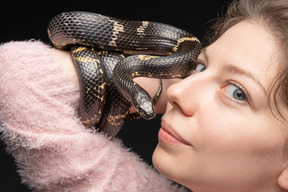 Gestreifte schwarze schlange, die sich um die hand der frau krümmt