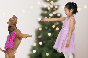 A little girl in a pink dress playing with a dog