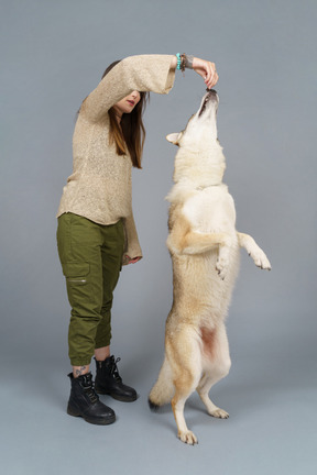 In voller länge einer ärztin, die ihren hund ausbildet