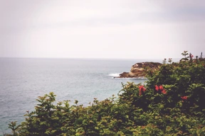 Naturaleza