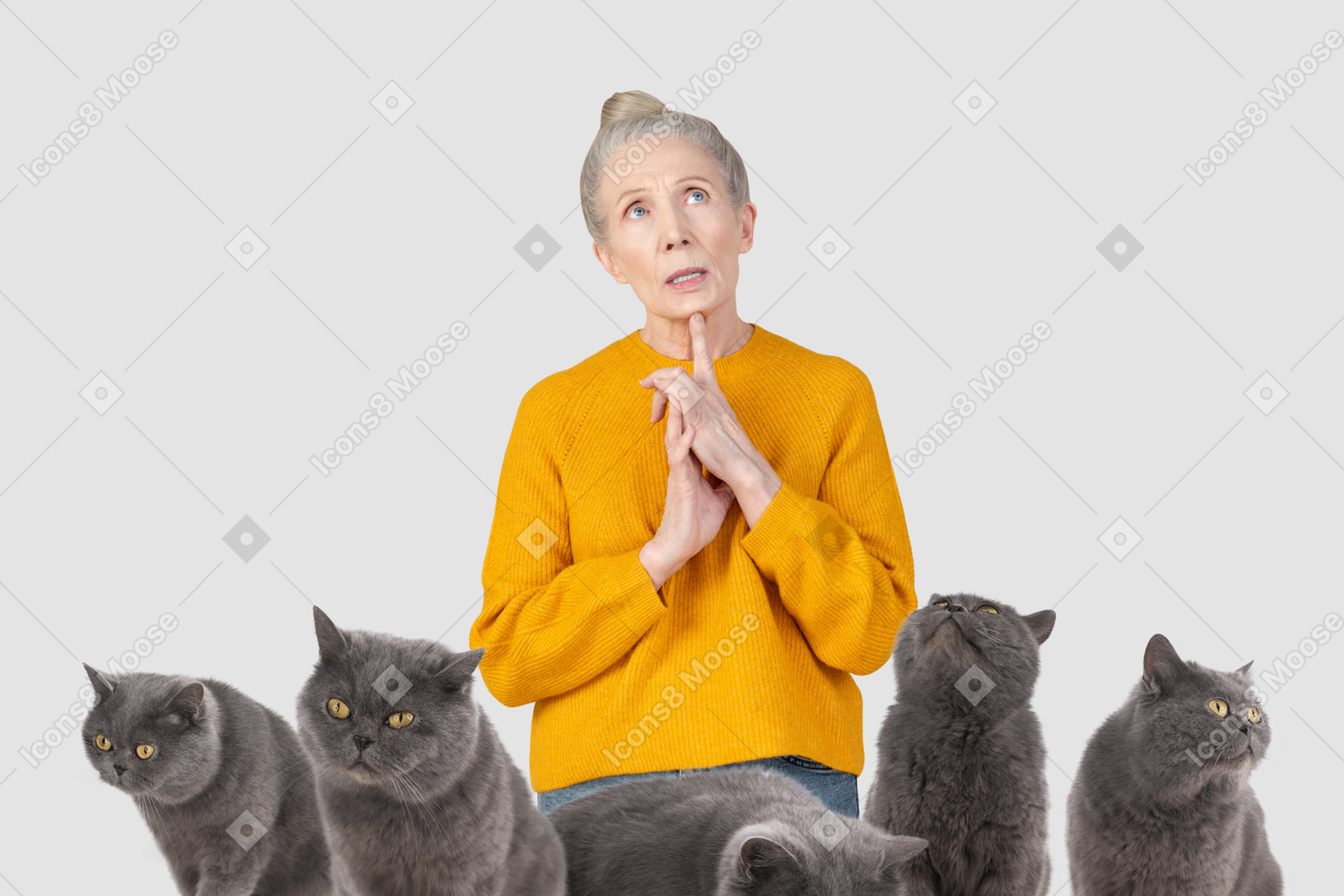 Mujer mayor pensativa y gatos británicos de pelo corto