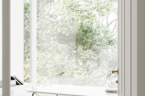 Green trees seen through large window