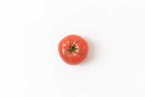Red tomato on white background