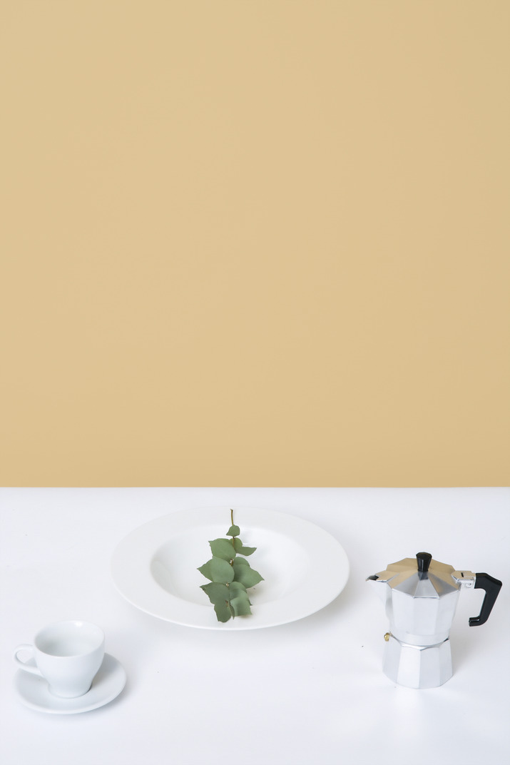 Vintage coffee maker, white coffee set and some plant on a plate