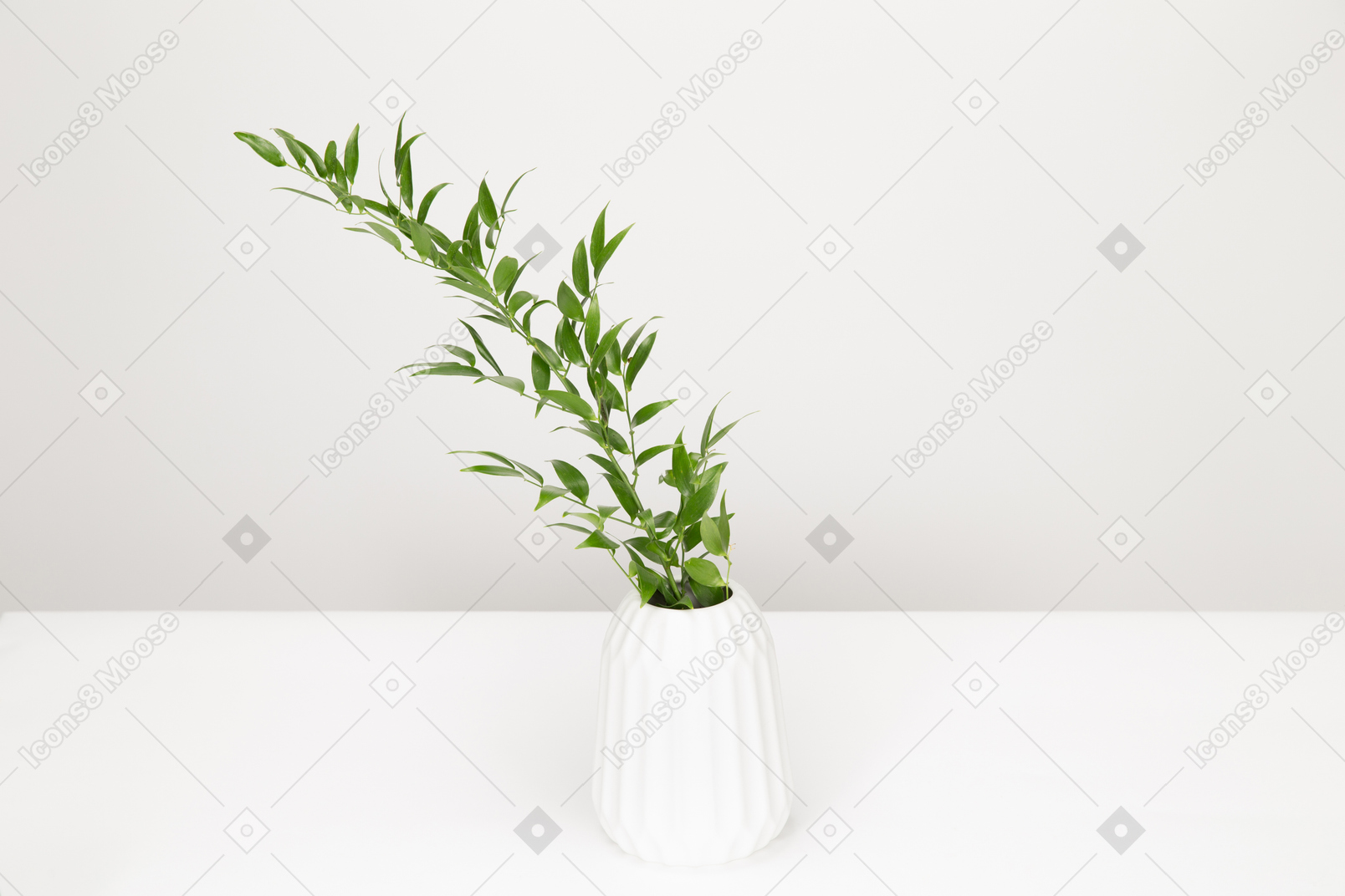 Green twig in white vase