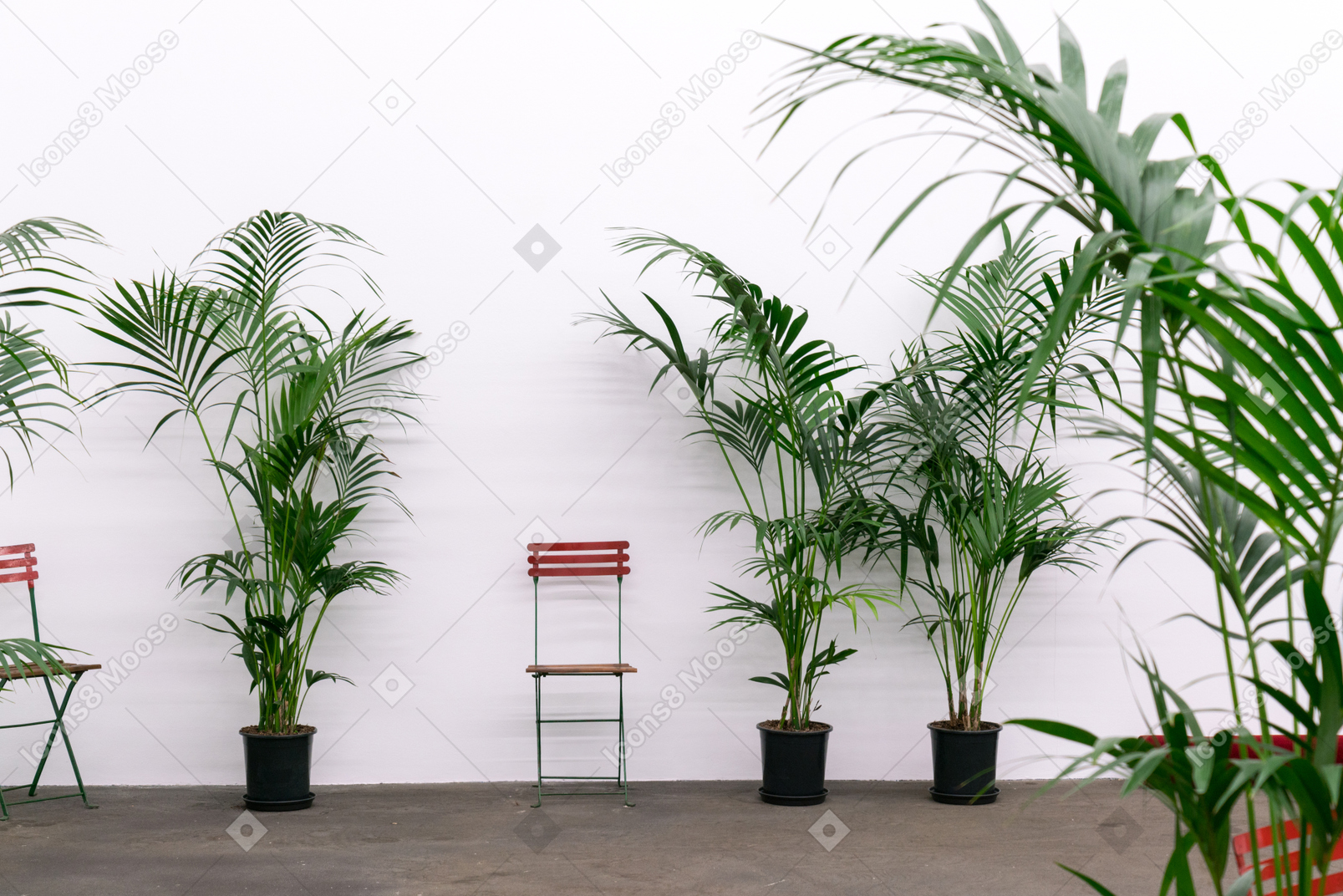 Duas cadeiras rodeadas de vasos de plantas