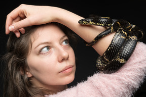 Striped black snake curving around woman's hand