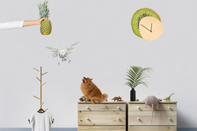 A person holding a pineapple above a dresser with a dog sitting on it