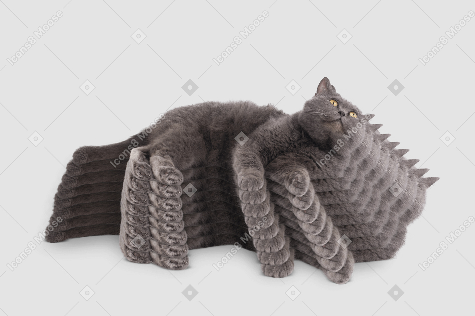 Repeating image of grey cat