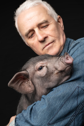 Miniature pig on elder man's hands