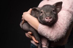 Beautiful girl holding miniature pig