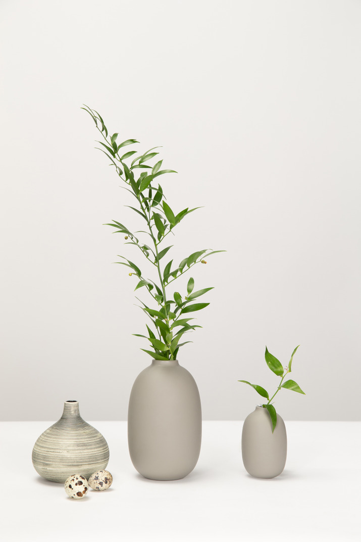 Two grey vases with plants, one empty grey vase and quail eggs