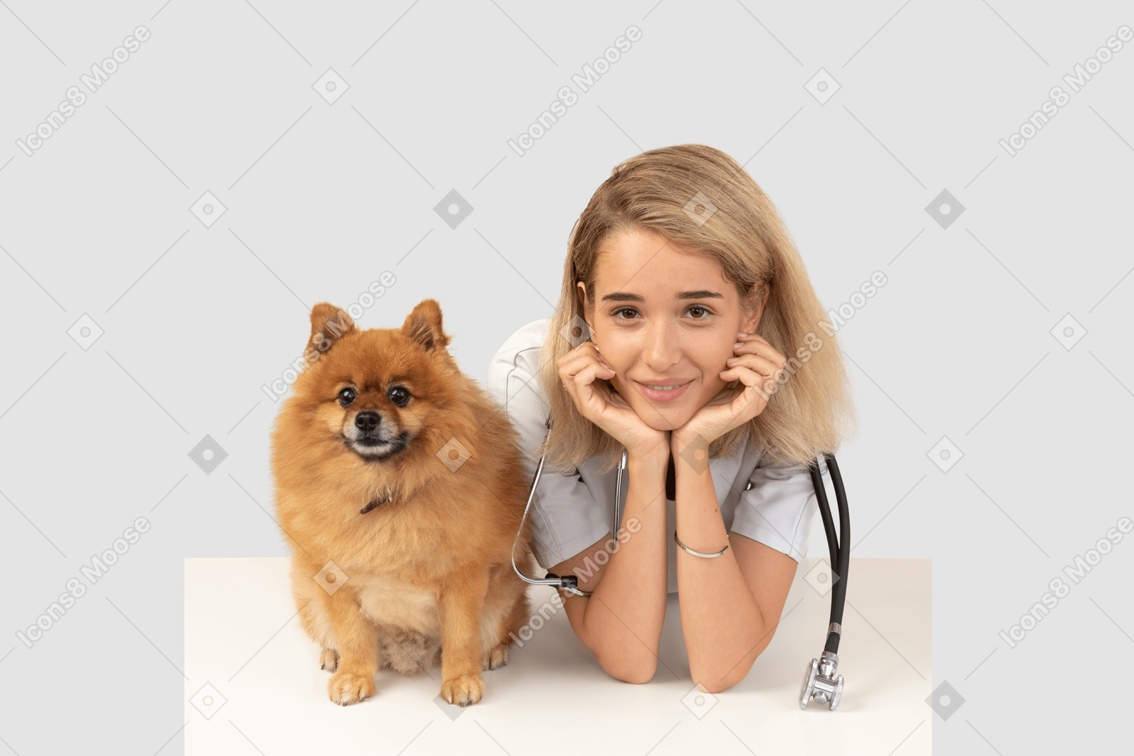 A veterinarian next to a dog