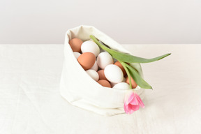 Chicken eggs and a tulip